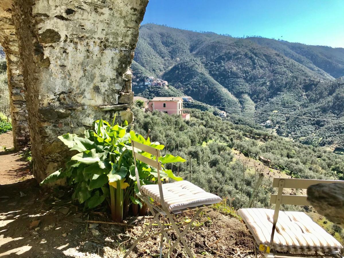 Agriturismo Sancristoforo Levanto Extérieur photo